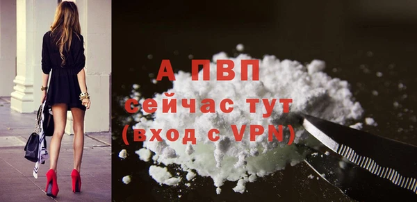 гидра Вязники