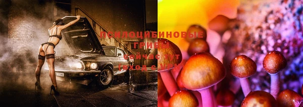 гидра Вязники