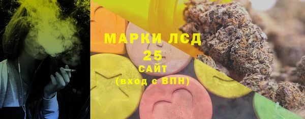 гидра Вязники